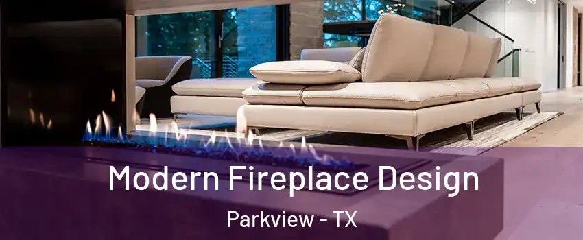 Modern Fireplace Design Parkview - TX