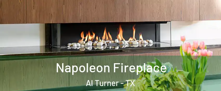 Napoleon Fireplace Al Turner - TX