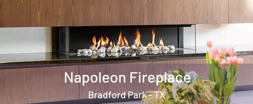 Napoleon Fireplace Bradford Park - TX