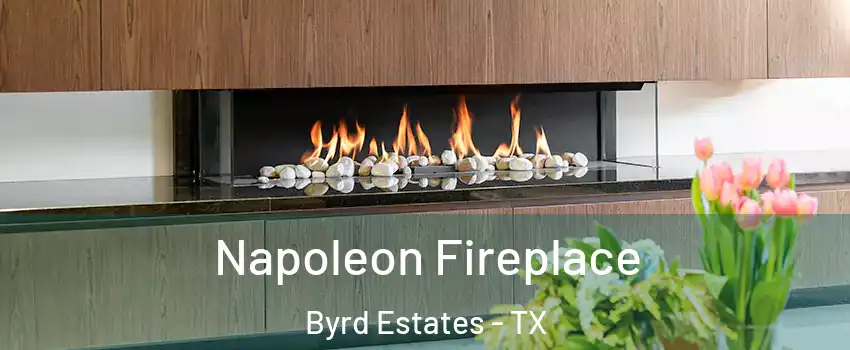 Napoleon Fireplace Byrd Estates - TX
