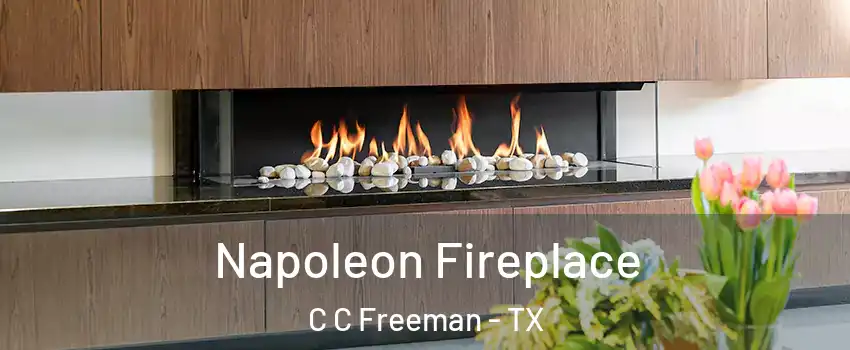 Napoleon Fireplace C C Freeman - TX