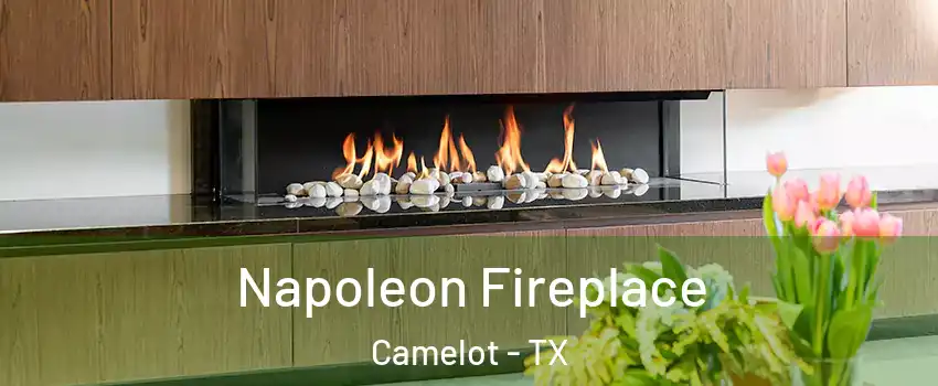 Napoleon Fireplace Camelot - TX