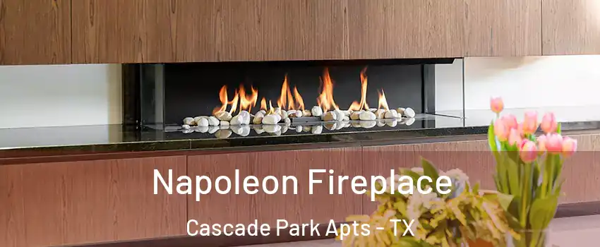 Napoleon Fireplace Cascade Park Apts - TX
