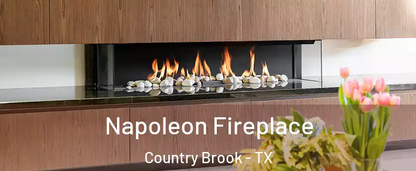 Napoleon Fireplace Country Brook - TX