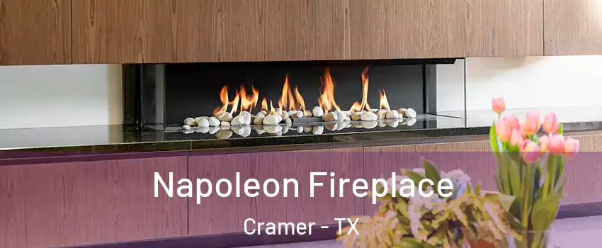 Napoleon Fireplace Cramer - TX