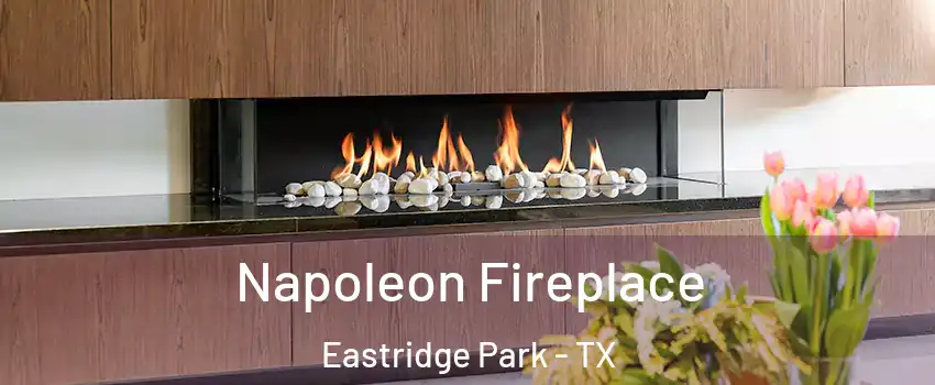 Napoleon Fireplace Eastridge Park - TX