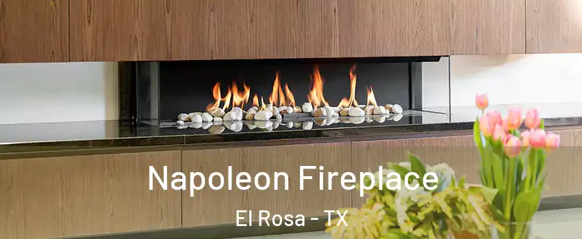 Napoleon Fireplace El Rosa - TX