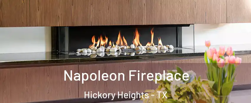 Napoleon Fireplace Hickory Heights - TX