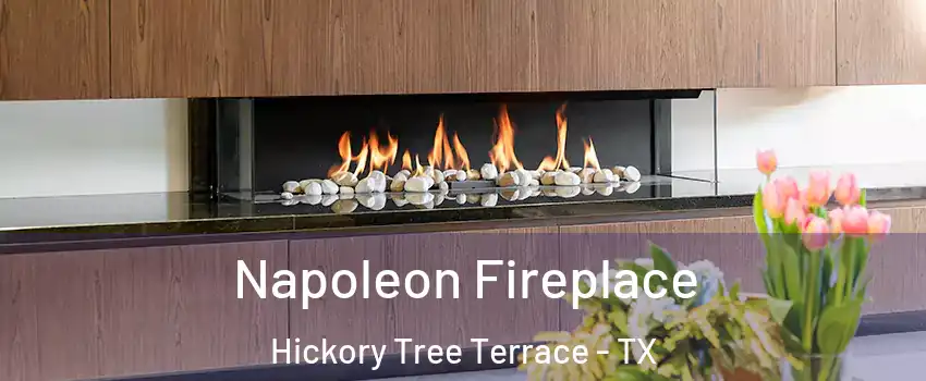 Napoleon Fireplace Hickory Tree Terrace - TX