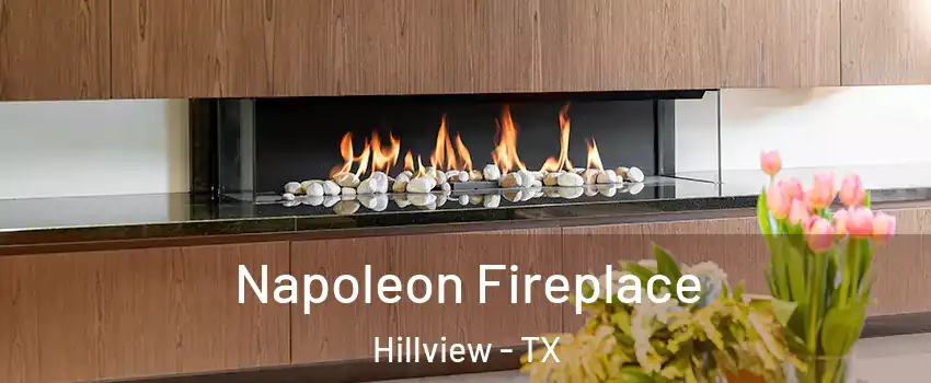 Napoleon Fireplace Hillview - TX