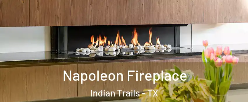 Napoleon Fireplace Indian Trails - TX