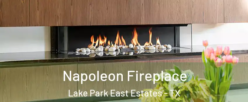 Napoleon Fireplace Lake Park East Estates - TX