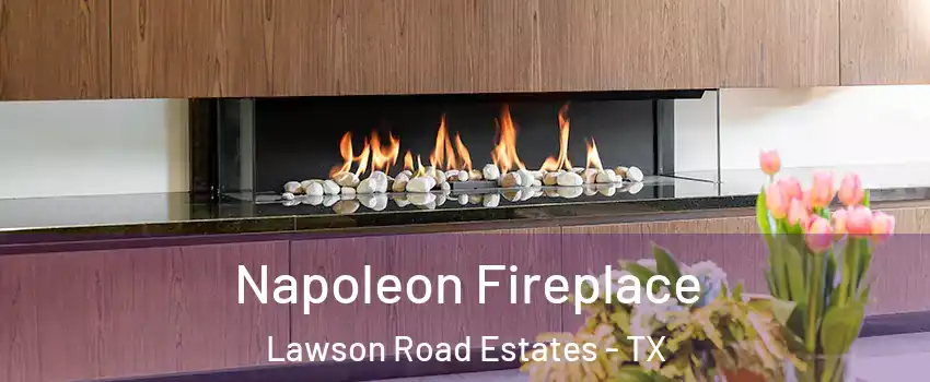 Napoleon Fireplace Lawson Road Estates - TX