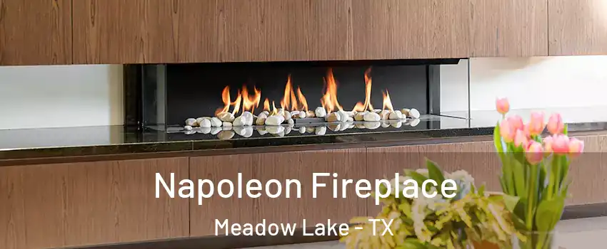 Napoleon Fireplace Meadow Lake - TX