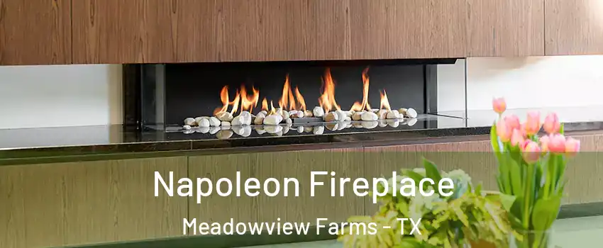 Napoleon Fireplace Meadowview Farms - TX