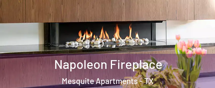 Napoleon Fireplace Mesquite Apartments - TX
