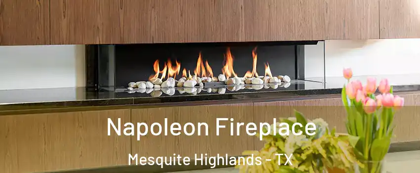 Napoleon Fireplace Mesquite Highlands - TX