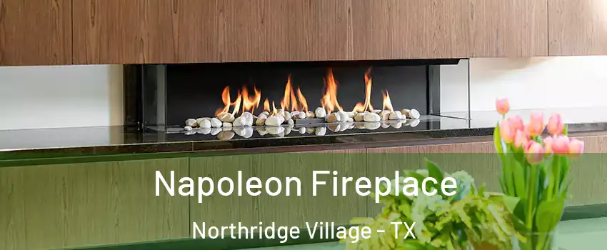 Napoleon Fireplace Northridge Village - TX