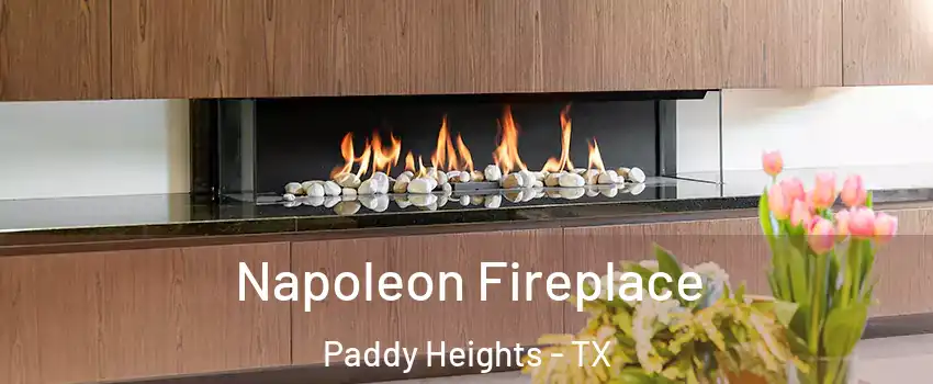 Napoleon Fireplace Paddy Heights - TX