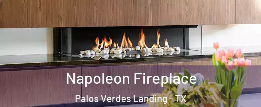 Napoleon Fireplace Palos Verdes Landing - TX