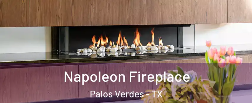 Napoleon Fireplace Palos Verdes - TX
