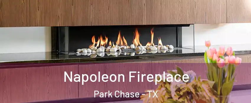 Napoleon Fireplace Park Chase - TX
