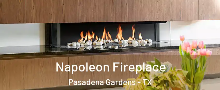 Napoleon Fireplace Pasadena Gardens - TX