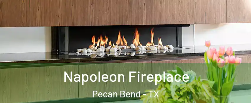Napoleon Fireplace Pecan Bend - TX