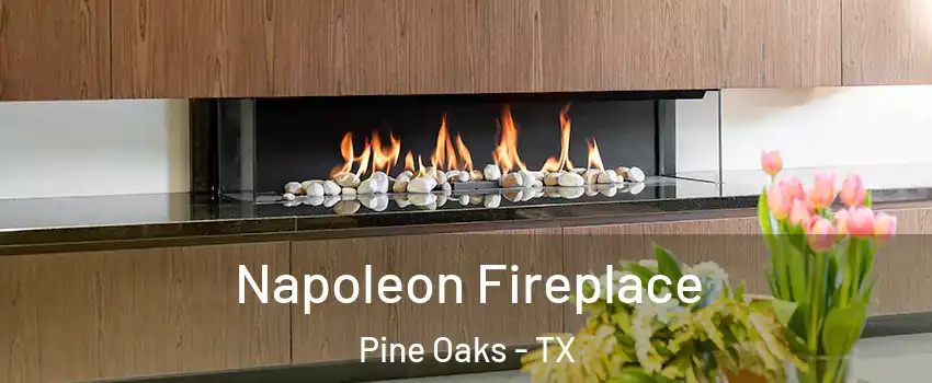 Napoleon Fireplace Pine Oaks - TX