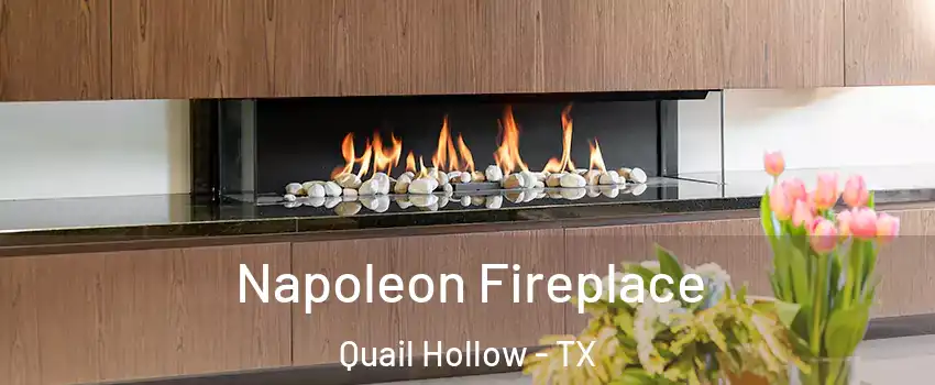 Napoleon Fireplace Quail Hollow - TX