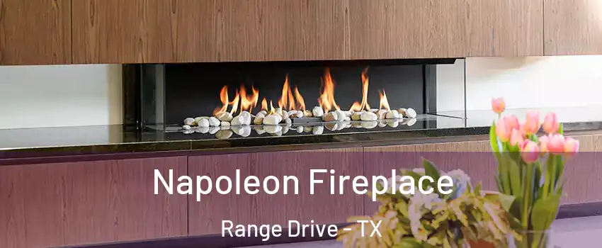 Napoleon Fireplace Range Drive - TX
