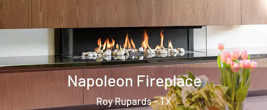 Napoleon Fireplace Roy Rupards - TX