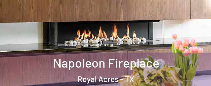 Napoleon Fireplace Royal Acres - TX