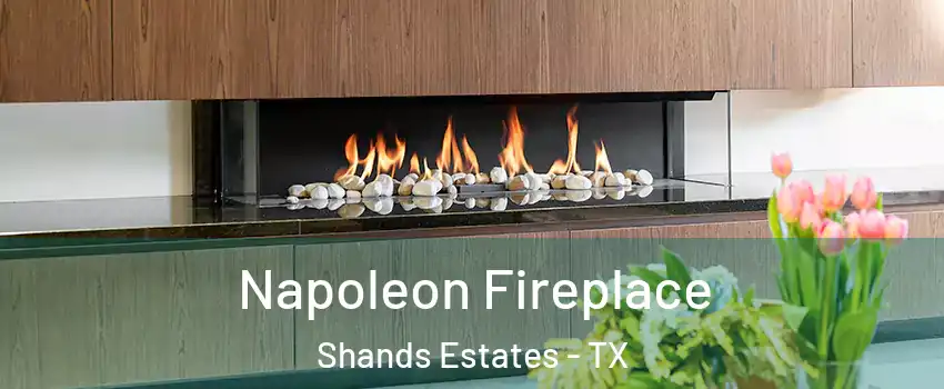 Napoleon Fireplace Shands Estates - TX