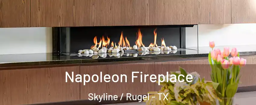 Napoleon Fireplace Skyline / Rugel - TX