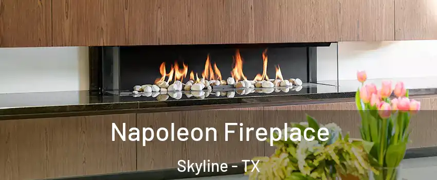 Napoleon Fireplace Skyline - TX