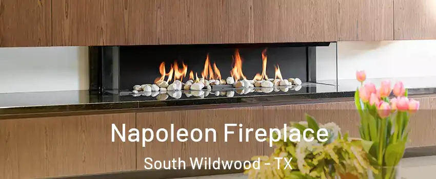 Napoleon Fireplace South Wildwood - TX