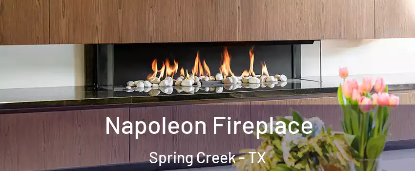 Napoleon Fireplace Spring Creek - TX