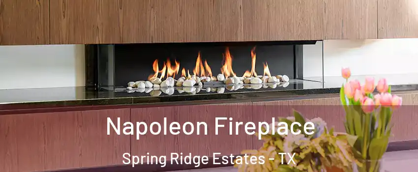 Napoleon Fireplace Spring Ridge Estates - TX