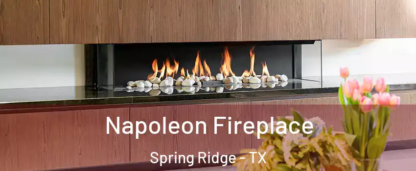 Napoleon Fireplace Spring Ridge - TX