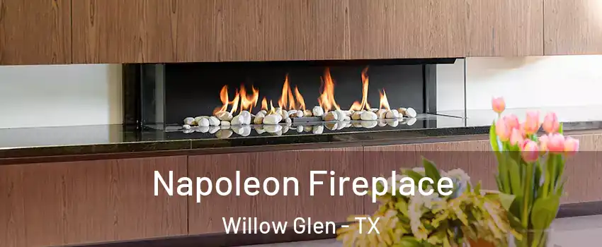 Napoleon Fireplace Willow Glen - TX