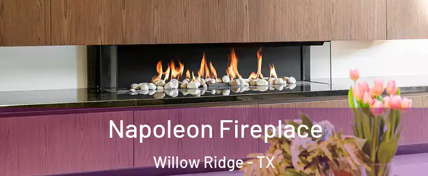 Napoleon Fireplace Willow Ridge - TX