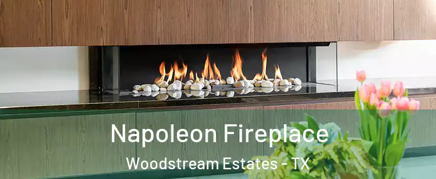 Napoleon Fireplace Woodstream Estates - TX