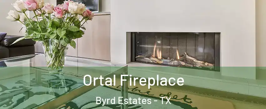 Ortal Fireplace Byrd Estates - TX