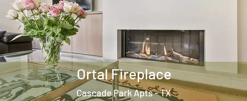 Ortal Fireplace Cascade Park Apts - TX