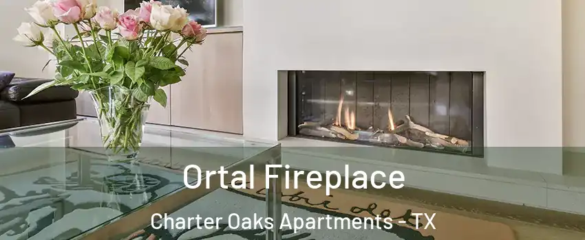Ortal Fireplace Charter Oaks Apartments - TX