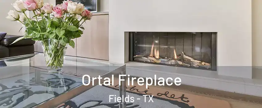 Ortal Fireplace Fields - TX