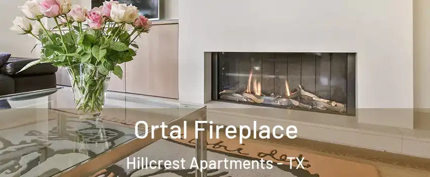 Ortal Fireplace Hillcrest Apartments - TX