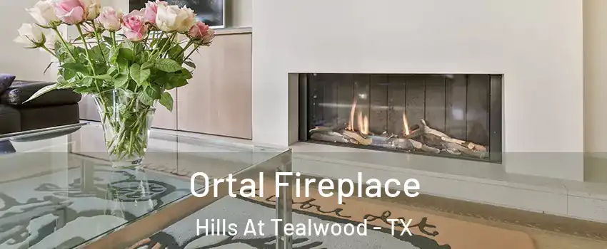 Ortal Fireplace Hills At Tealwood - TX