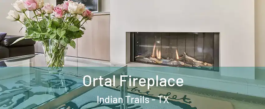 Ortal Fireplace Indian Trails - TX